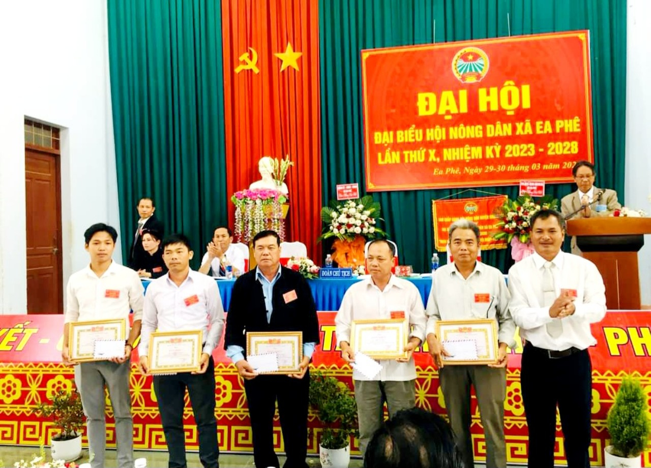 a dại họi ND 10